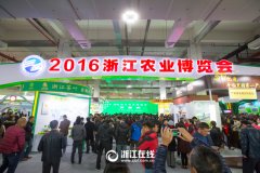 看展覽、嘗美食、囤年貨 2016浙江農(nóng)博會